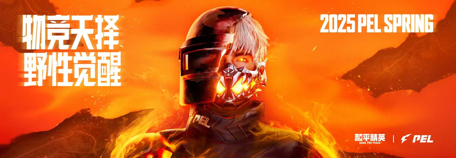 和平精英辅助【COCO】